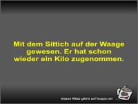 Mit dem Sittich auf der Waage gewesen