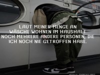 Witzige Beobachtung im Waschsalon