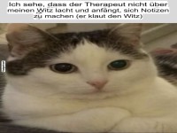 Katze �berrascht den Therapeuten