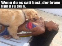 Wenn du es satt hast