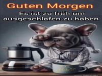 Morgenmuffel in Pyjamas: Hund vs. Koffein