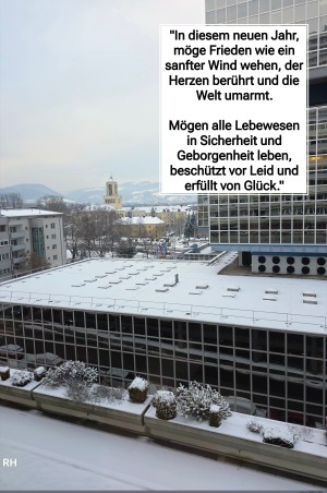 In-diesem-neuen-Jahr.jpg auf www.funpot.net