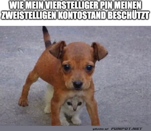 Wie-mein-PIN-mein-Konto-heldenhaft-sch�tzt.jpg auf www.funpot.net