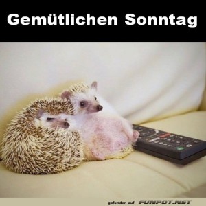 Gem�tlichen-Sonntag.jpg von Nachtstern