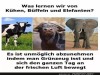 weiter