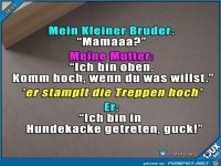 Komm hoch wenn du was willst !