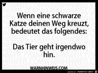 Schwarze Katze