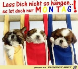 Montag.jpg auf www.funpot.net