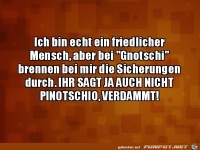 Wenn jemand Gnotschi sagt