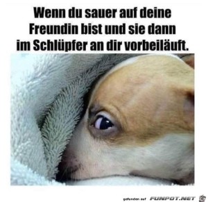 Wenn-du-sauer-auf-deine-Freundin-bist.jpg auf www.funpot.net