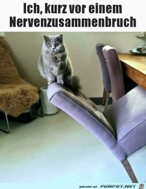 Der-Stuhl-hlt.jpg auf www.funpot.net