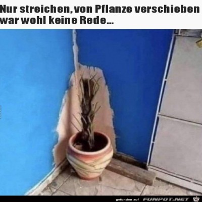 Super-gestrichen.jpg von SWolle