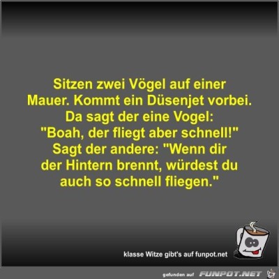 Sitzen-zwei-V&ouml;gel-auf-einer-Mauer.jpg von Fossy