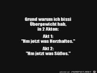 Gründe für mein Übergewicht