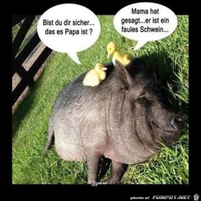 Papa.jpg von Heather