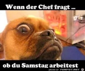 Hilfe-nein.jpg auf www.funpot.net