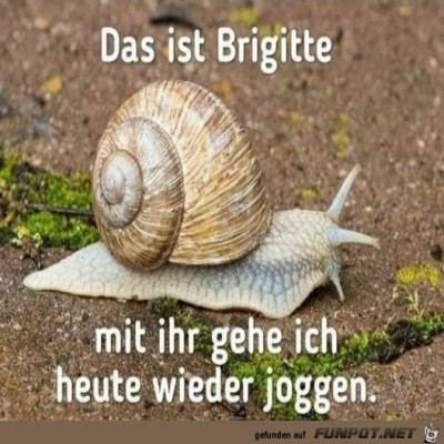 Mal-wieder-joggen-gehen.jpg von Sena