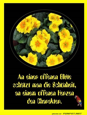 An-einer-offenen-Bl�te-2.jpg auf www.funpot.net