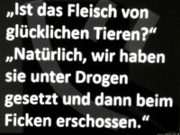 Gl�ckliche Tiere