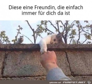 diese-eine-Freundin.jpg auf www.funpot.net