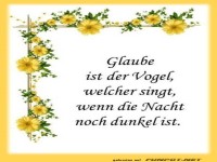 Glaube ist der Vogel