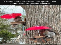 Kleine Picknicktische