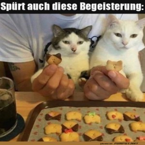 fun-Bild: Welche Begeisterung