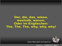 Der, die, das, wieso, weshalb, warum
