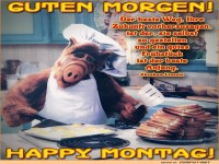 Motivational Montag mit Alf