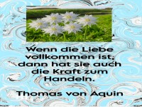 wenn die liebe vollkommen ist