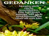 weiter