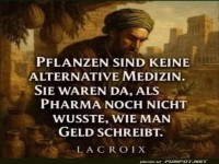 Als Pharma noch in den Kinderschuhen steckte