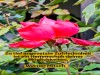 weiter