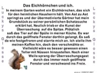 Das Eichh�rchen und ich