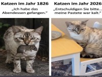 Katzenwandel: Von J�gern zu Feinschmeckern