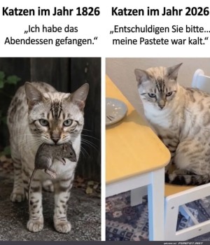 Katzenwandel:-Von-J�gern-zu-Feinschmeckern.jpg auf www.funpot.net