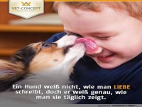 Hundeliebe