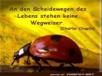 Keine Wegweiser