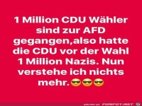 1 Mllion CDU W�hler sind zur AFD gegangen......