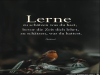 Lerne zu schtzen