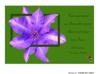 Frauen sind erstaunt