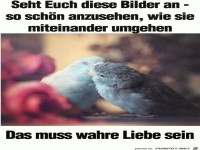 Wahre Liebe