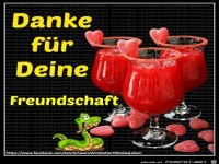 Danke fuer deine Freundschaft