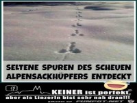 seltene spuren