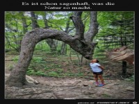 Es ist schon sagenhaft, was die Natur so macht