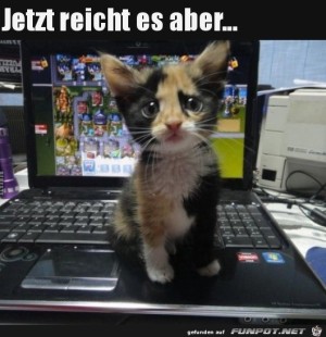 Jetzt-ist-Schluss-mit-dem-Arbeiten.jpg auf www.funpot.net