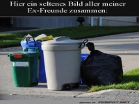 Alle meine Ex-Freunde