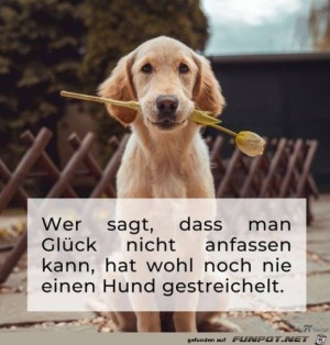 Gl�ck-kann-man-anfassen.jpg auf www.funpot.net