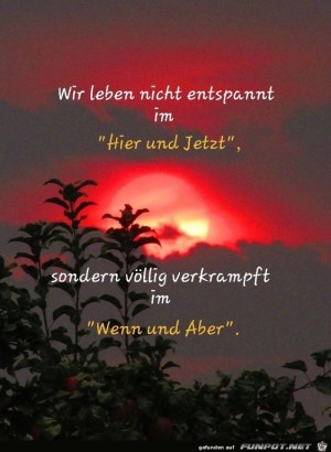 Wir-leben-nicht-entspannt.jpg auf www.funpot.net