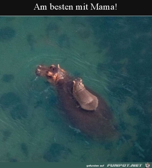 Mama-Taxi.jpg auf www.funpot.net
